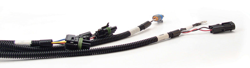 FAST 301100 XFI Main Wiring Harness