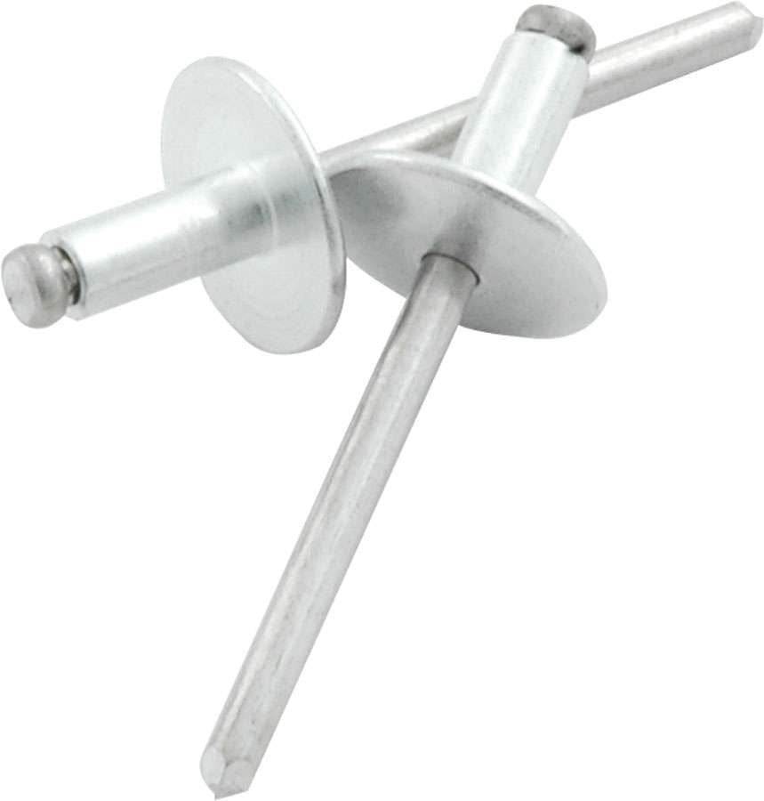 Allstar Performance Large Head Rivet Silver 250pk ALL18149