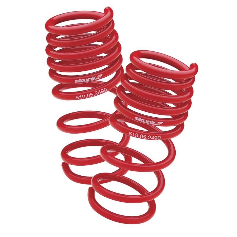 Skunk2 96-00 Honda Civic Lowering Springs (2.50in - 2.25in.) (Set of 4)