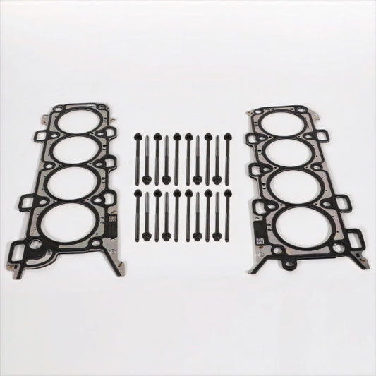 Ford Racing 2018-2021 5.0L for Coyote Head Changing Kit - 12mm Head Bolts