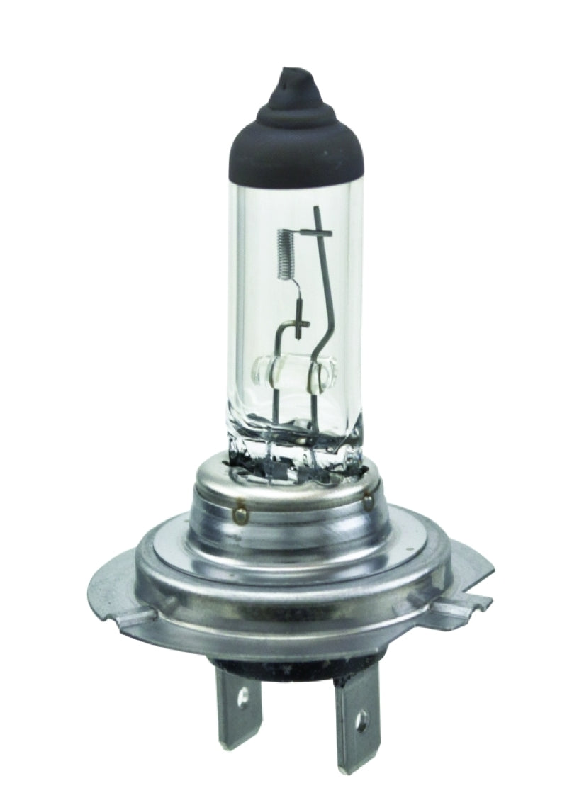 HELLA H7 Halogen Bulb