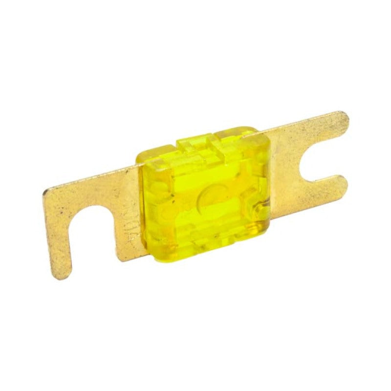 Snow Performance SNF-25012 100 Amp Fuse