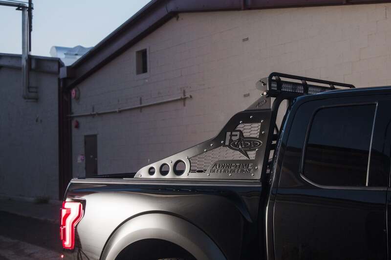 Addictive Desert Designs for 17-18 Ford F-150 Raptor Race Series Chase Rack w/ 2017 Grill Pattern