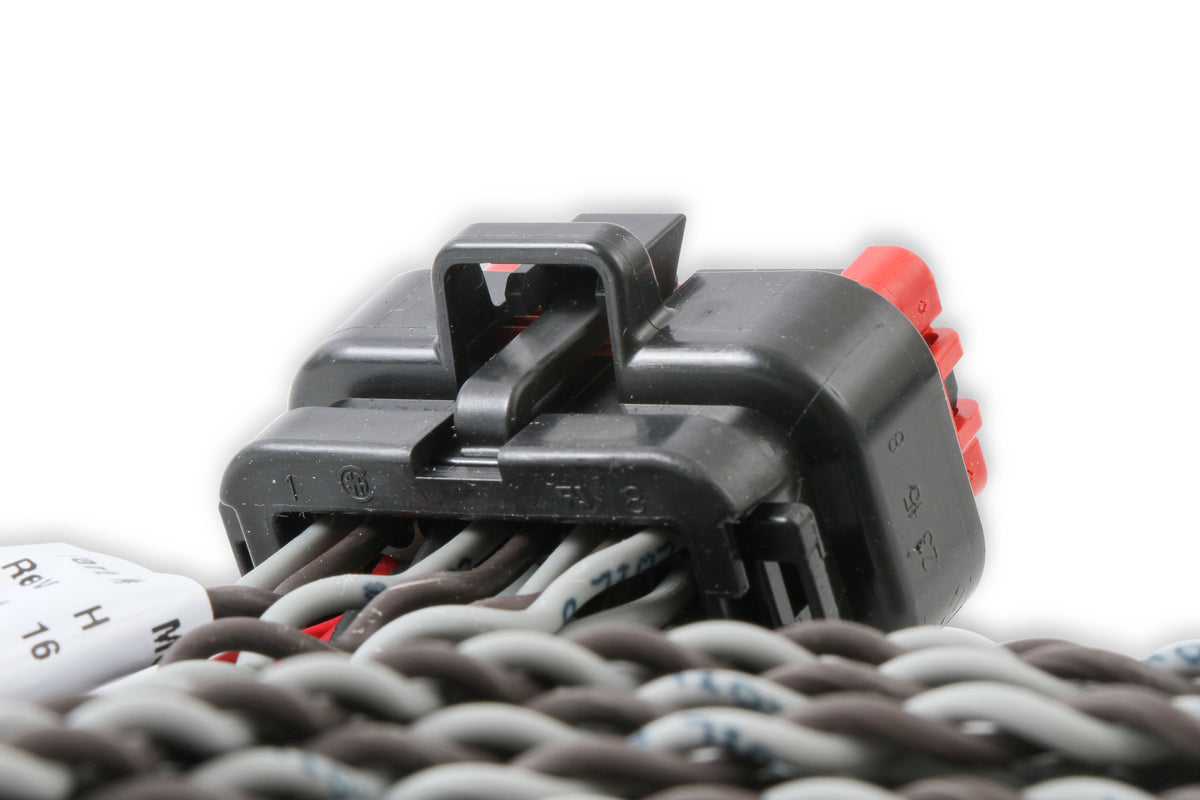 MSD 80001 Coil Harness - Pro 600