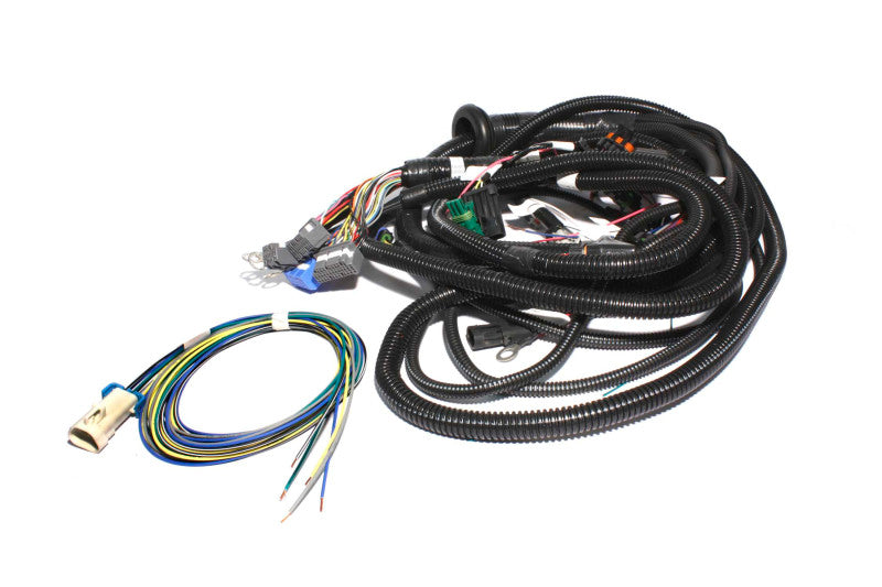 FAST 301101 XFI Main Wiring Harness LT1