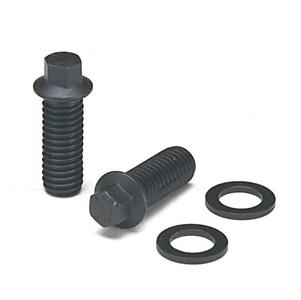 ARP 400-1208 3/8 x .750 SS 12pt Header Bolt Kit