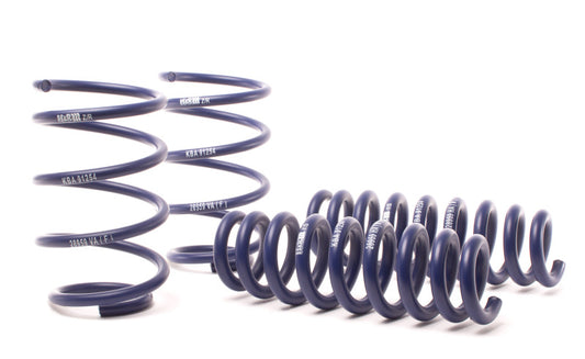 H&R Sport Springs - BMW X1 (E84) xDrive28i/35i - 28959-1