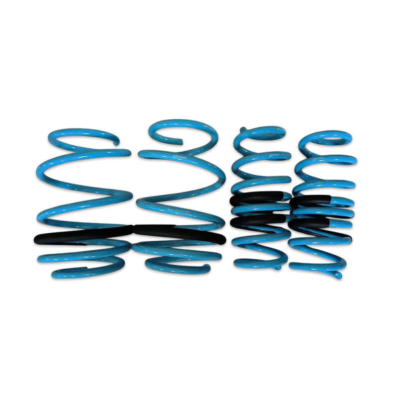 BLOX Racing Lowering Springs 1996-2000 Honda Civic BXSS-01002