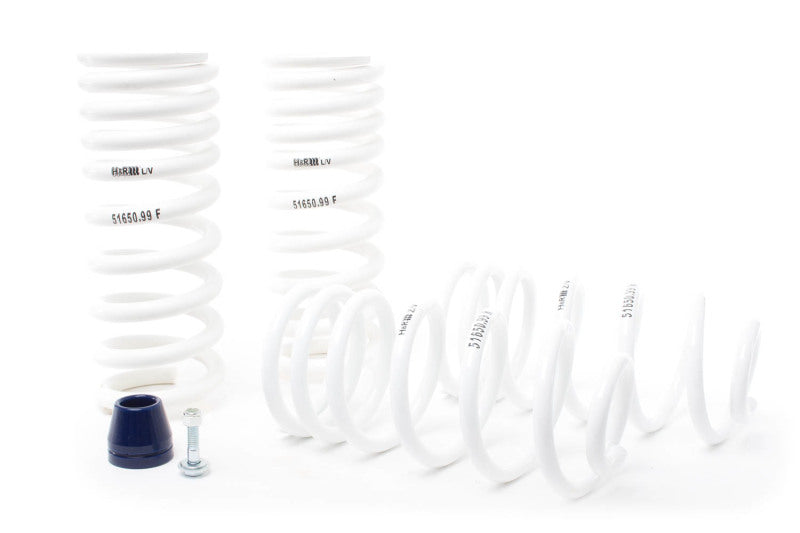 H&R Sport Springs - Ford Mustang - 51650-99