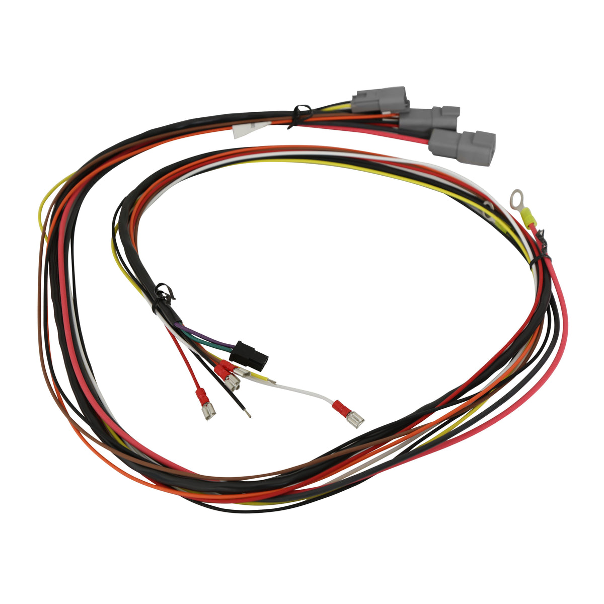 MSD 6631 6 HVC, Professional Race with Fast Rev Limiter