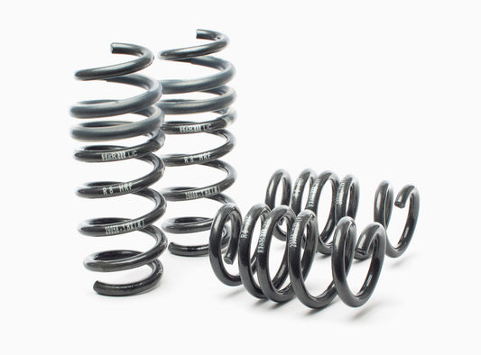 H&R Sport Springs - Audi R8 (Type 42) - 29058-1