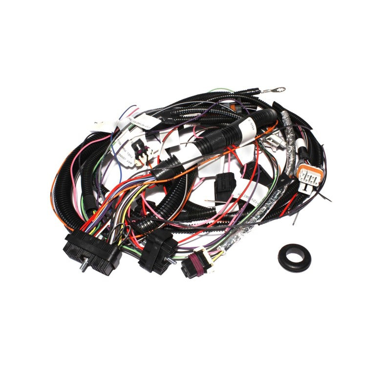 FAST 301972 XIM Wiring Harness for LS1