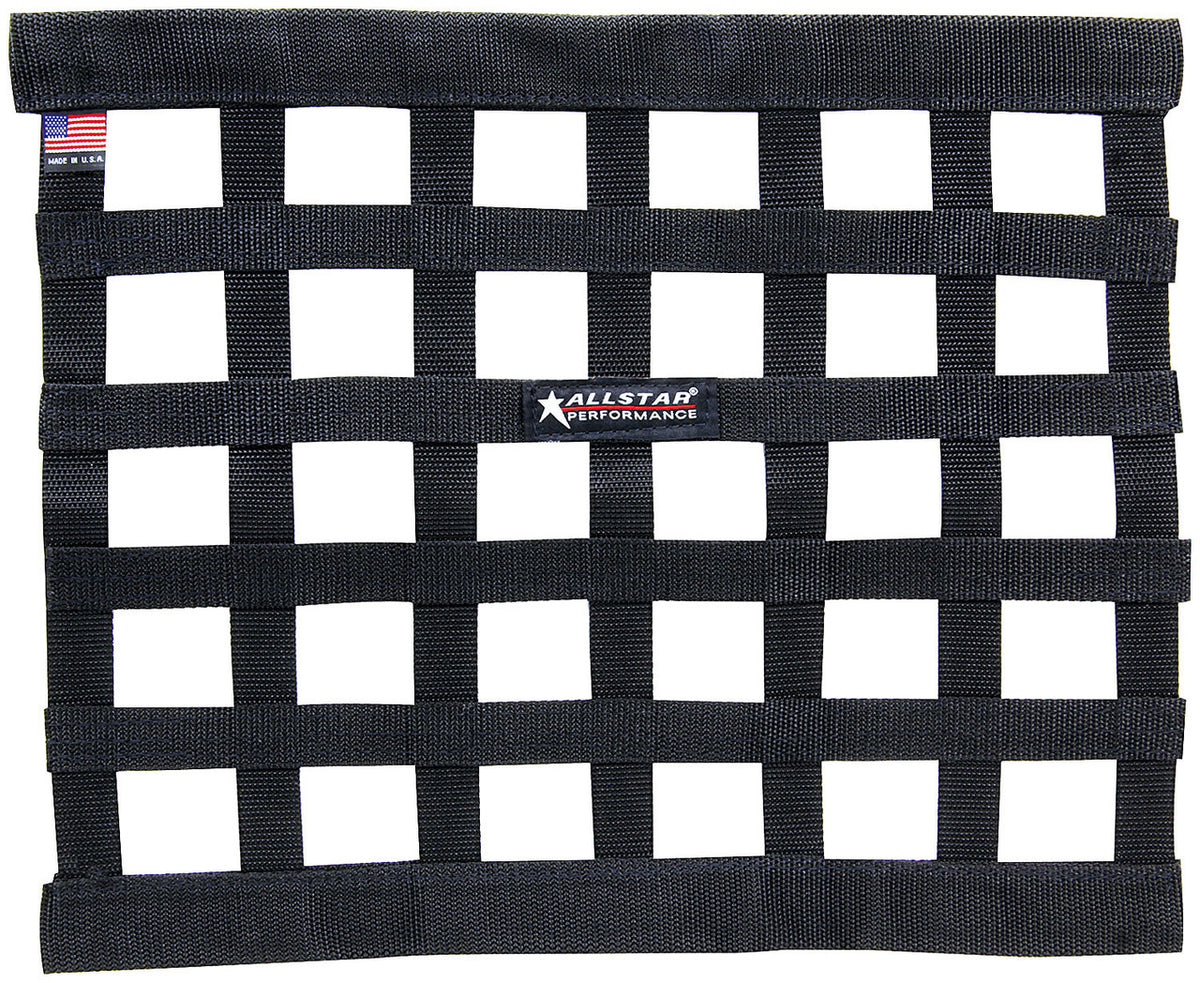 Allstar Performance Low Profile Window Net 14 x 18 ALL10249