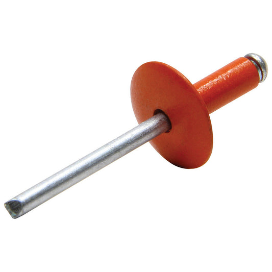 Allstar Performance Large Head Rivet Orange 250pk ALL18015