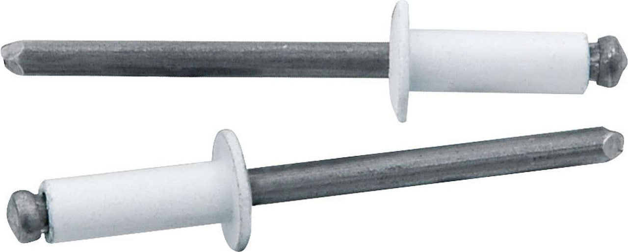Allstar Performance Small Head Rivet White 250pk ALL18114