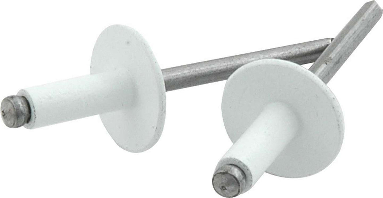 Allstar Performance Large Head Rivet 250Pk White ALL18156