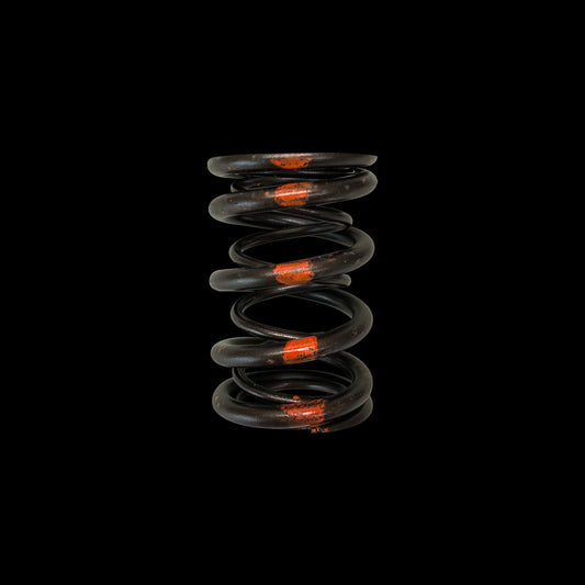 Brian Crower Honda/Acura B18A/B18B/B20B, EJ Ser Valve Spring - Dual - BC1020