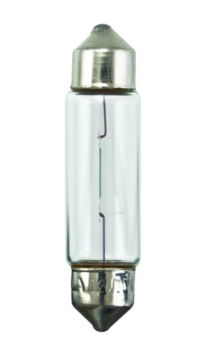 HELLA 6411 Clear 12V 10W 10x41mm T3.25 Festoon Bulb