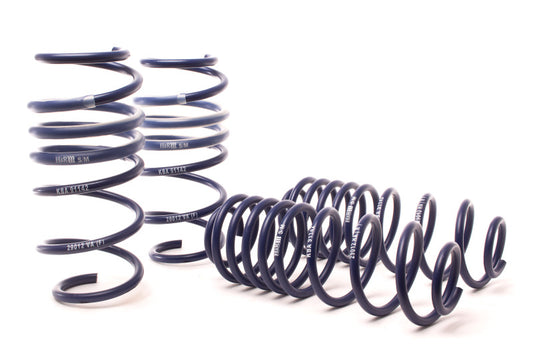 H&R Sport Springs - Ford Fiesta / Fiesta ST - 51641
