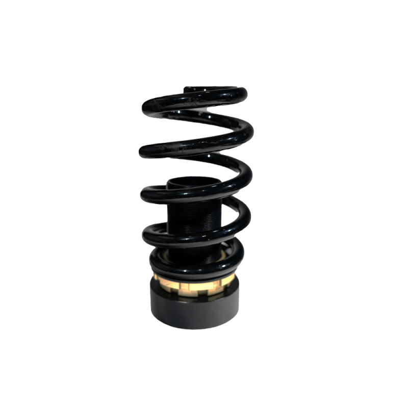 BLOX Racing 2017-2021 Honda Civic Si Plus Series Fully Adjustable Coilovers 2017-2021 Honda Civic Hatchback 52mm BXSS-00132