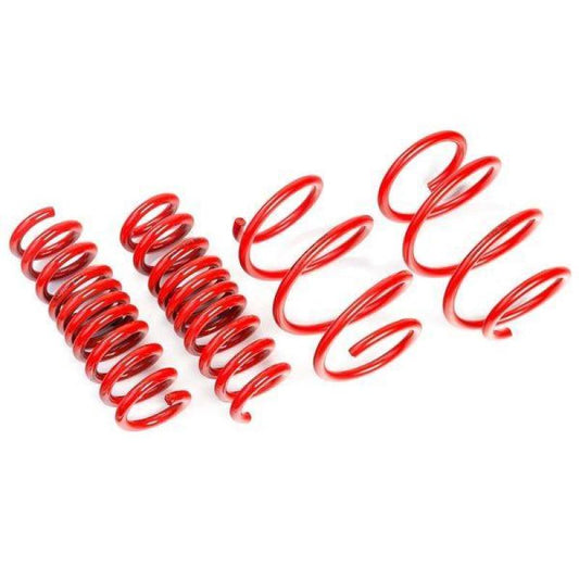 AST Suspension ASTLS-19-312 for 2017+ Tesla Model 3 Long Range RWD Lowering Springs 25mm/25mm