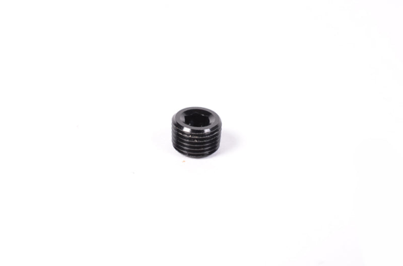 Radium Engineering 1/8in NPT Plug - #14-0172