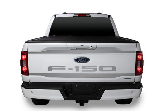 Putco for 2021 Ford F-150 Ford Lettering (Cut Letters/Stainless Steel) Tailgate Emblems