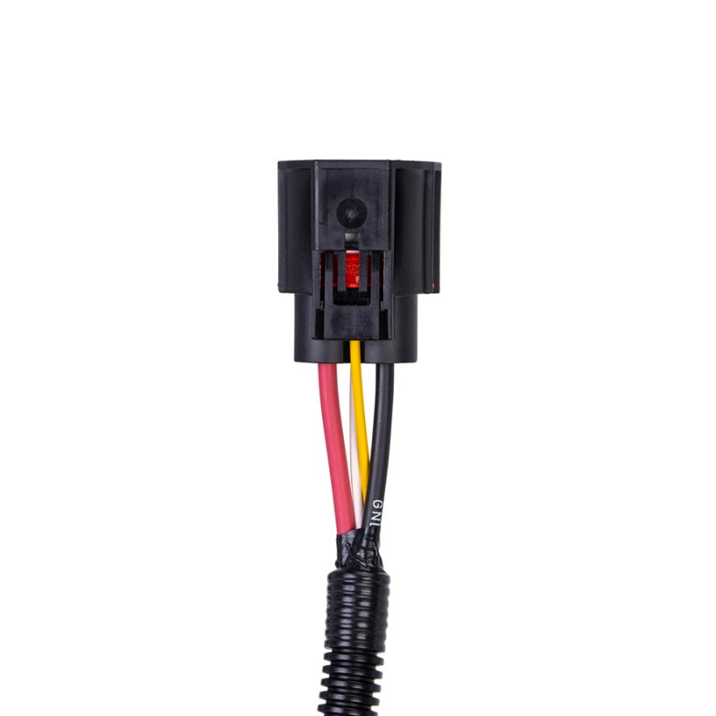 SPAL SBL-YAZ-PT10-PKG Harness Adapter for Brushless Fans