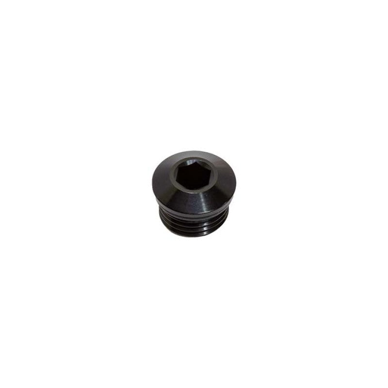 Snow Performance SNF-60006 -6 ORB Plug