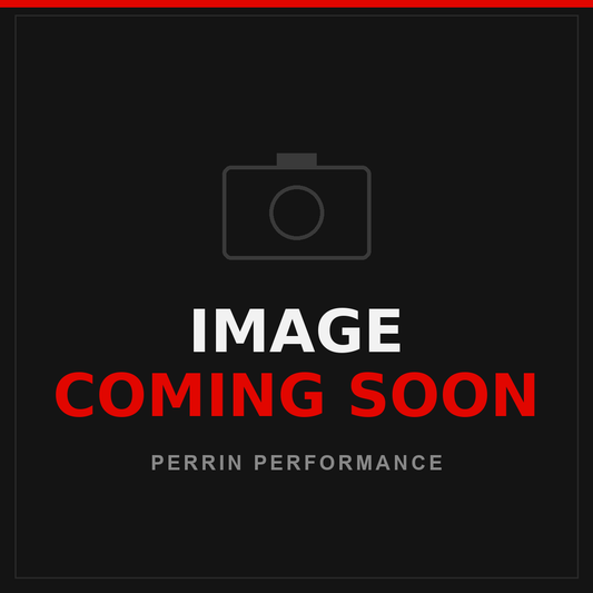 PERRIN Foam Filter / Diffuser for AOS Bottom - 48ppi Red 2.5in x 0.825in Disc w/ Hole X-ASM-ENG-621