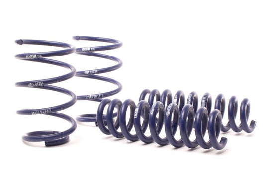 H&R Sport Springs - BMW X1 (E84) xDrive28i/35i - 28959-1